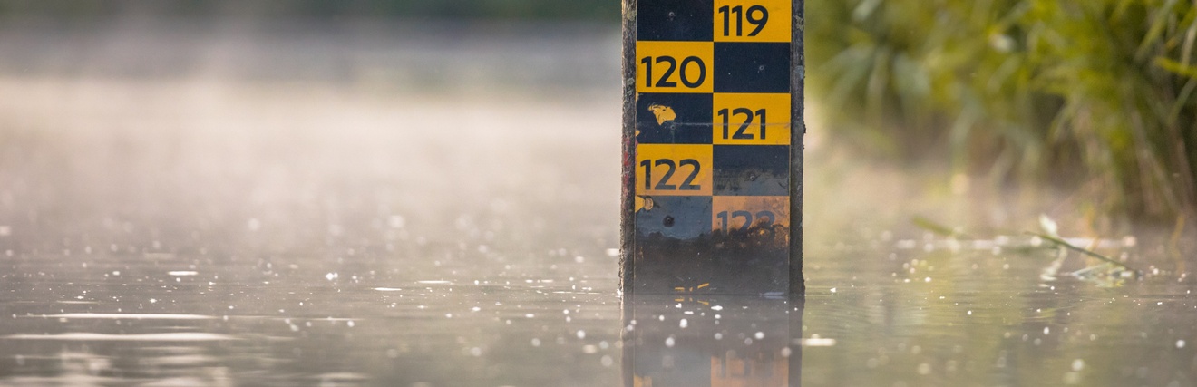 Aus dem Wasser ragt ein Pfahl, auf dem verschiedene Zahlen über- und untereinander stehen, zum Beispiel 116, 117 usw. Rechts vom Pfahl ist grünes Gebüsch