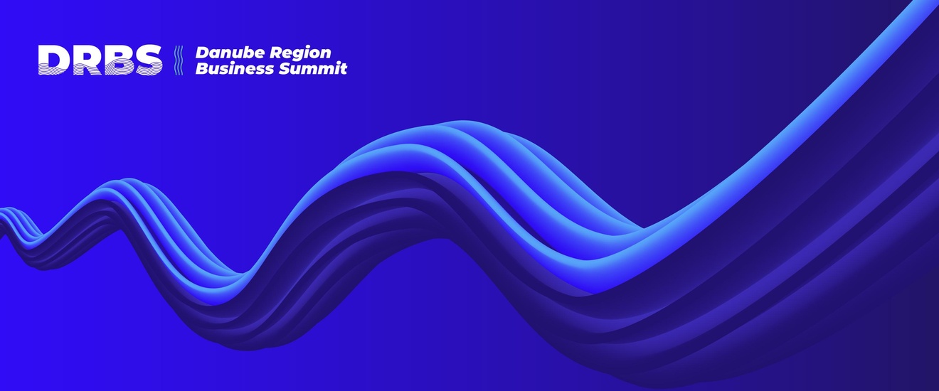 Blaue Welle - Logo: Danube Region Business Summit
