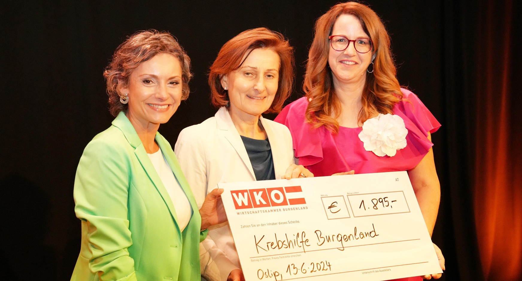 Moderatorin Kristina Buconjic, Krebshilfe Burgenland-Geschäftsführerin Andrea Konrath und FiW-Landesvorsitzende Petra Schumich (v. l.). 