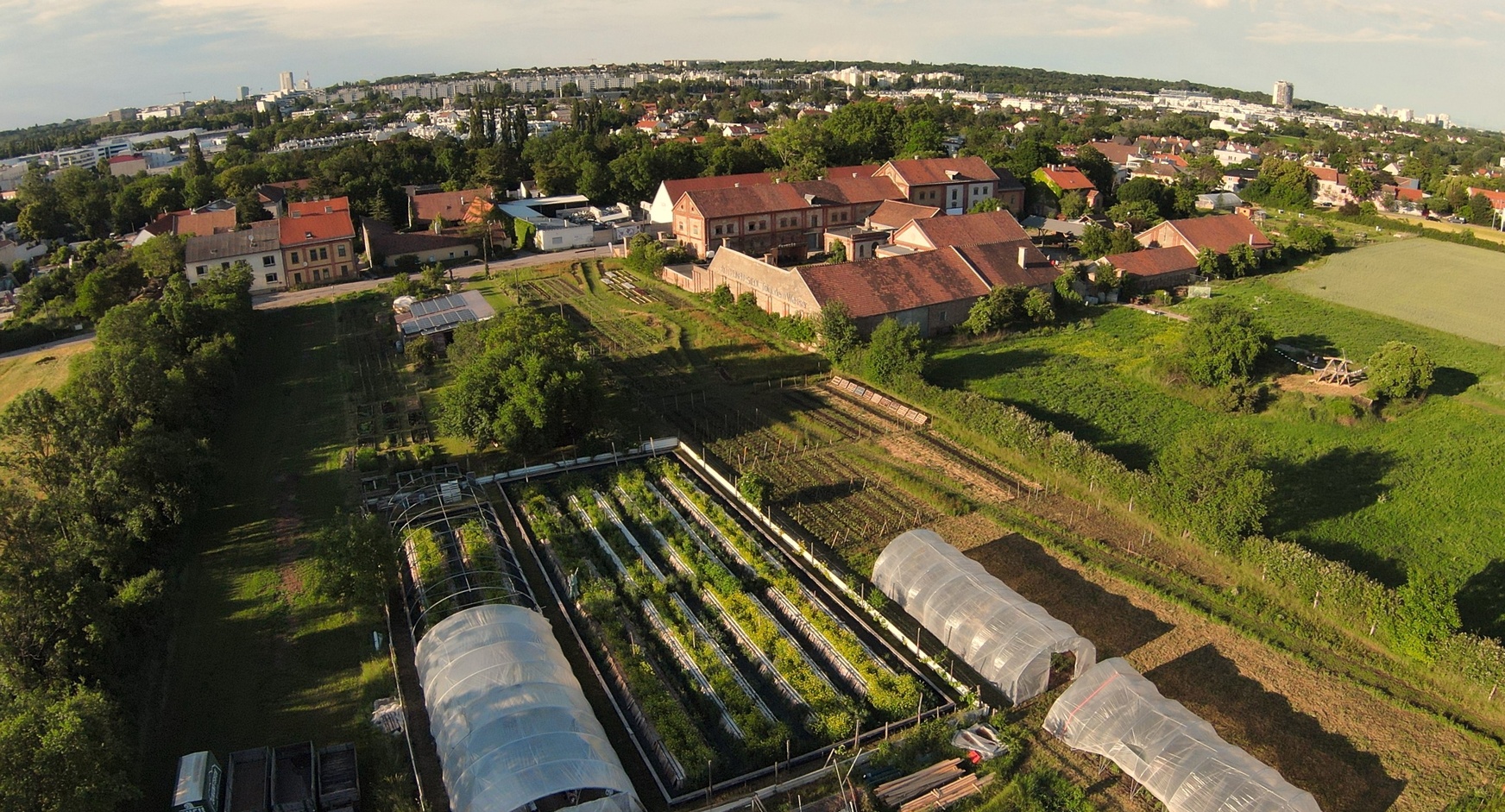 Market-Garden