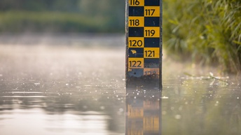 Aus dem Wasser ragt ein Pfahl, auf dem verschiedene Zahlen über- und untereinander stehen, zum Beispiel 116, 117 usw. Rechts vom Pfahl ist grünes Gebüsch