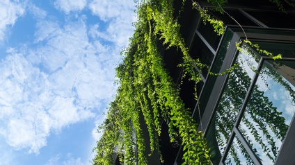 Schräg nach oben fotografiertes Gebäude mit Glasfronen, von denen efeuartige Pflanzen herunterranken. 