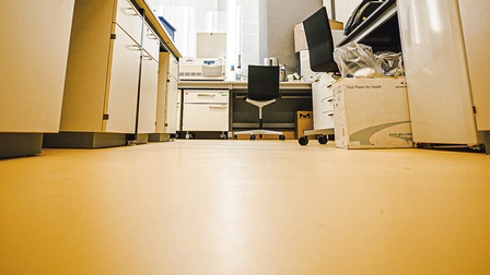Sauberer, heller Boden in Büro