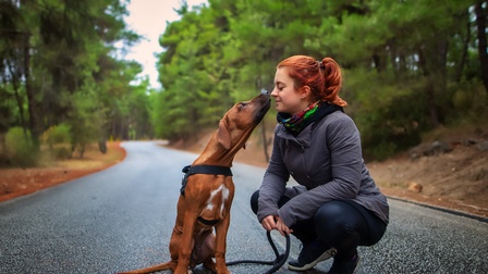 Portrait von einer Person mit einem Hund auf einer Straße, rundherum sind Bäume