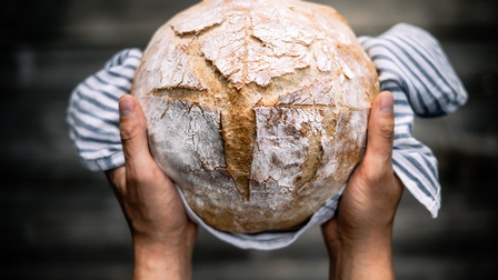 Zwei Hände halten einen runden Brotlaib