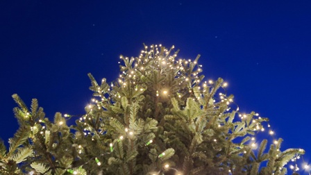 Weihnachtsbaum beleuchtet