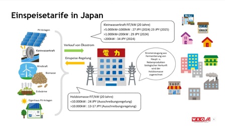 Grafik zu Einspeisetarifen in Japan