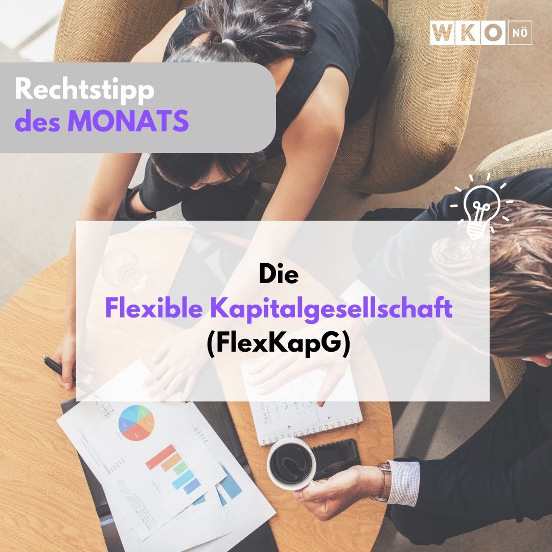 Flexible Kapitalgesellschaft