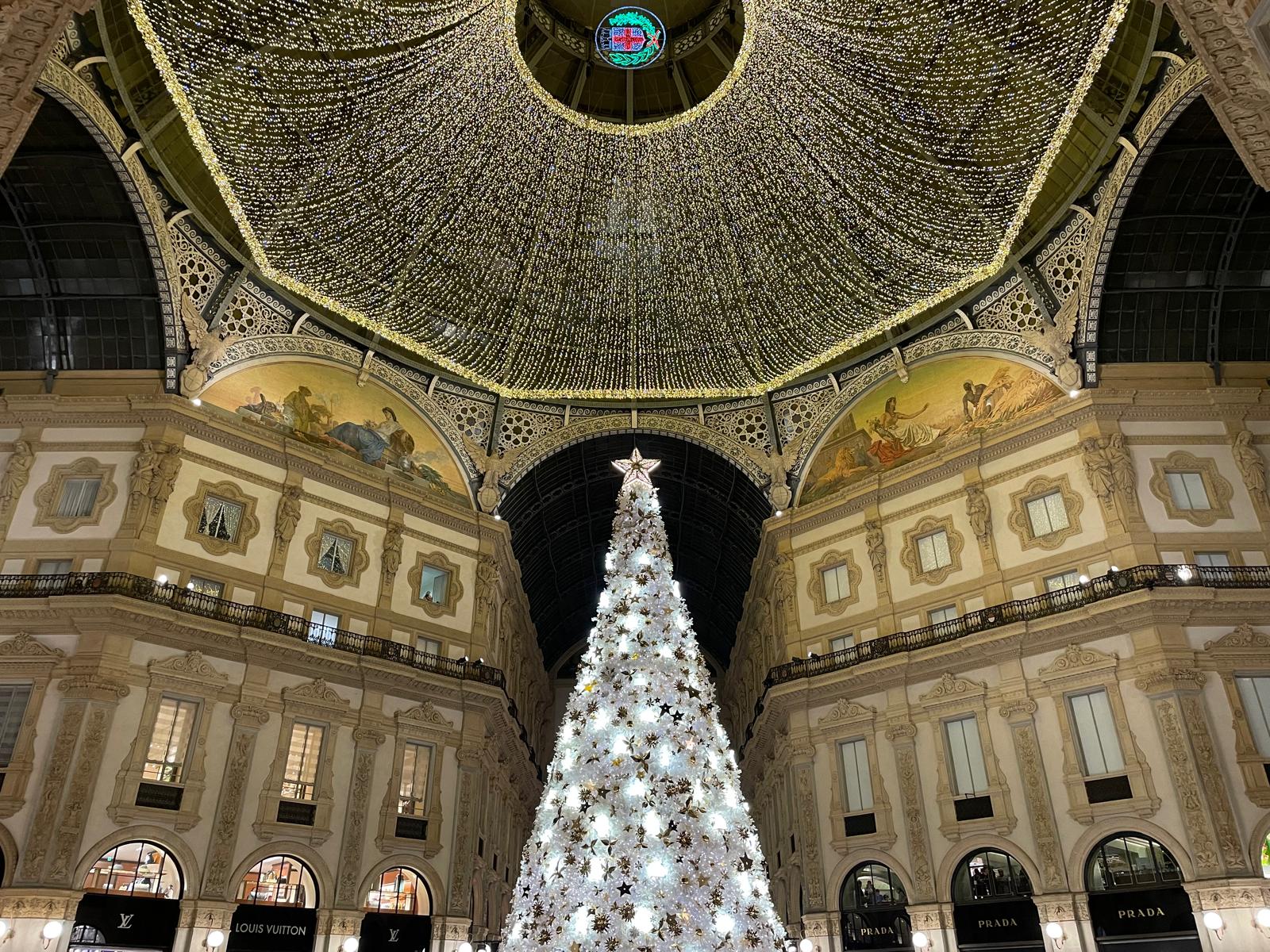 Christbaum in Lichtermeer