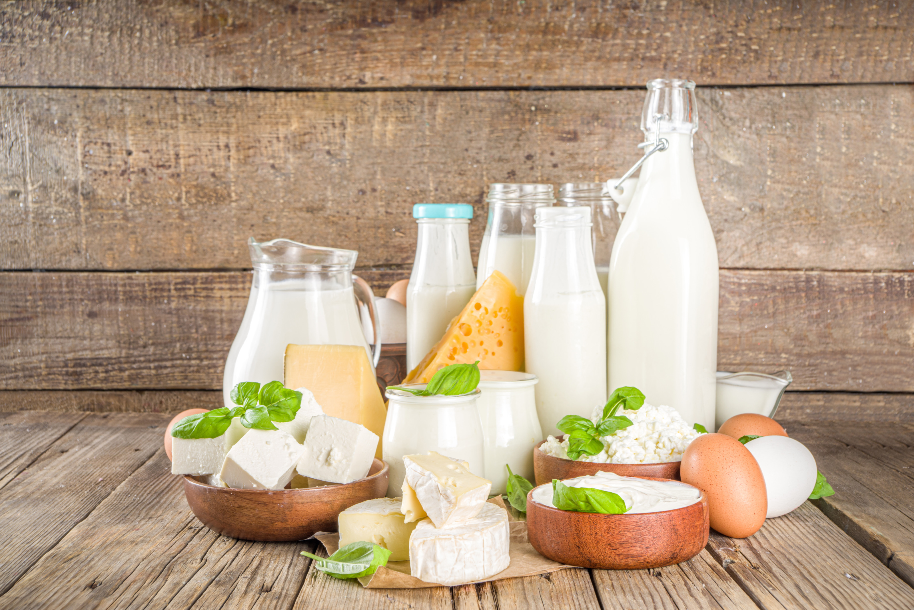 China: Anti-subsidy investigation against imported European dairy products