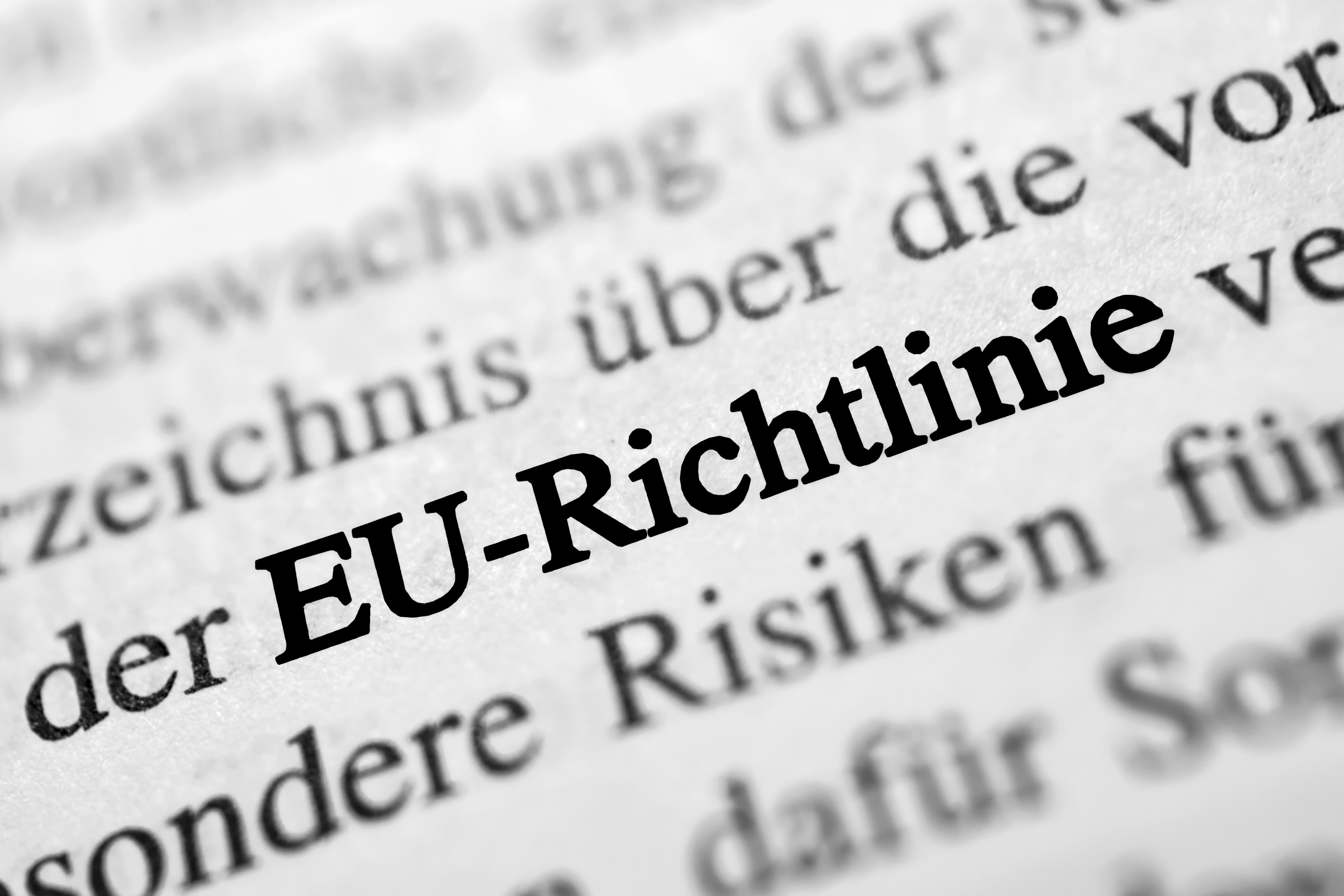 Schriftzug in schwarz auf weißem Papier EU-Richtlinie, umgebender Text unscharf