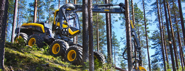 Bagger im Wald