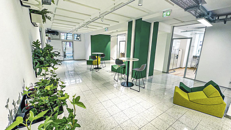 Coworking-Space in Weiz, modern eingerichtet mit Pflanzen