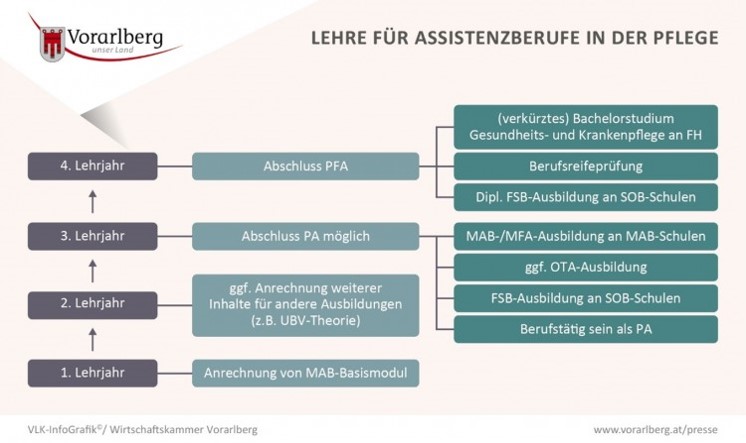 Pflegelehre Statistik