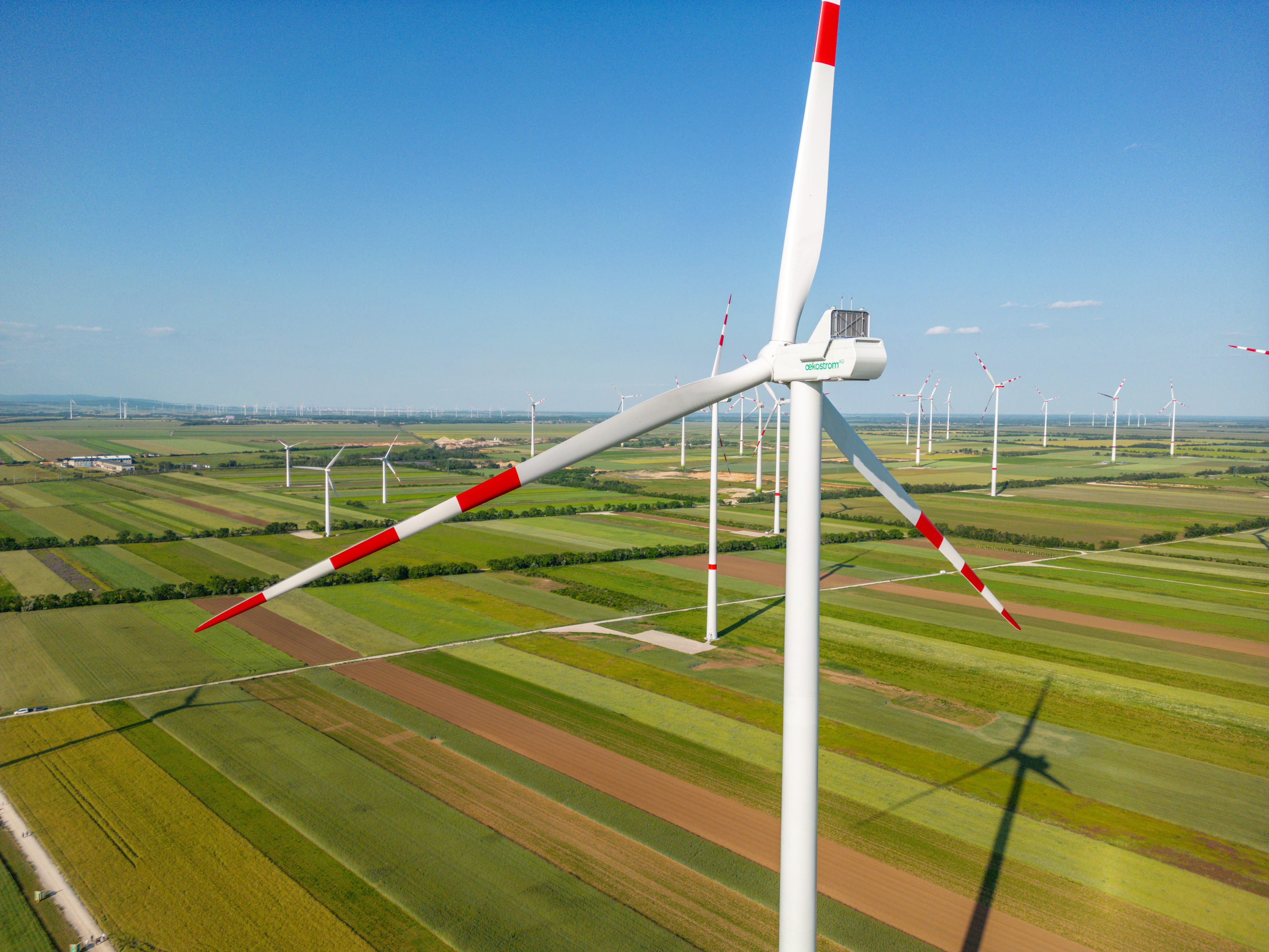 Fokus auf Windrad mit rotweißroten Spitzen auf Feld mit weiteren Windrändern stehend unter blauem Himmel